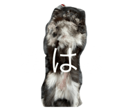 562678466