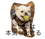 562678469