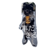 562678471