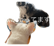 562678472