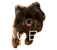 562678473