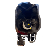562678477
