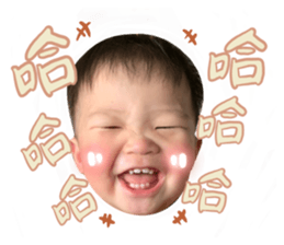 562688438
