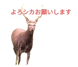 562714758