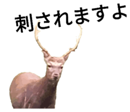 562714760