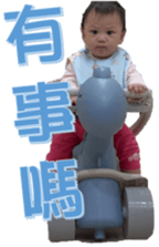 562726229