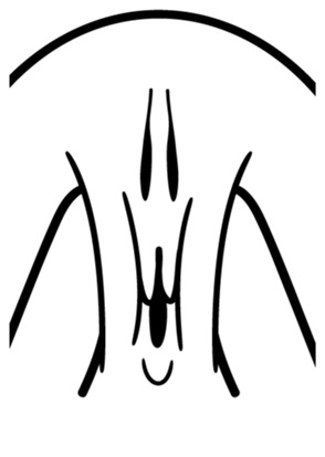 562751960