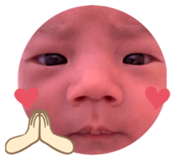 562753937