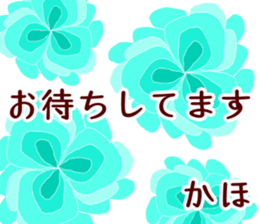 56277504
