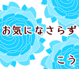 56278206
