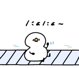 562789831
