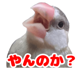 562811173