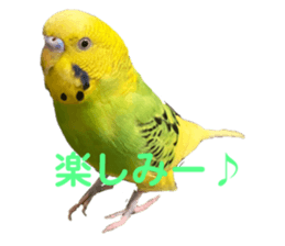 562857908