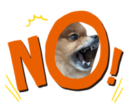 562875851
