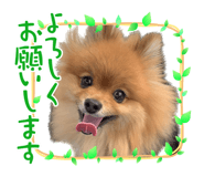 562875852