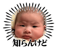 562878591