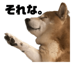 562929999