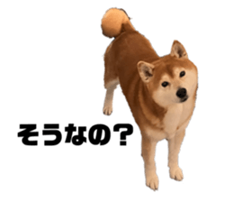 562930005