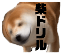 562930014