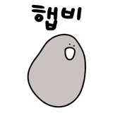 562940217