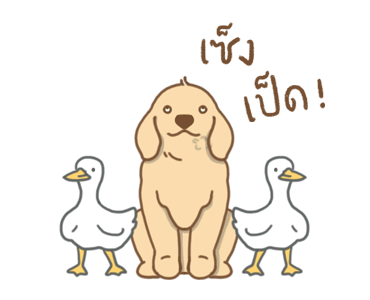 ฮูโต๋ ดุ๊กดิ๊ก รูปที่ 8