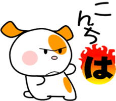 562982759