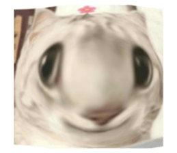 562984693
