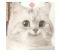 562985276