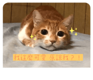 562989616