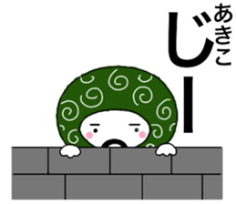56299618