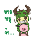 563007092