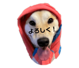 563009486