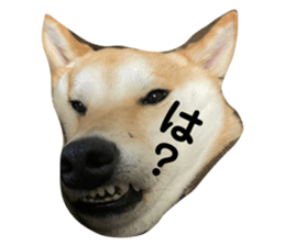 563009490