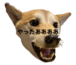 563009496