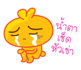5630486