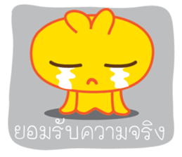 5630504