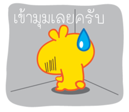 5630507