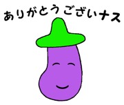 56307064