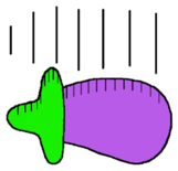 56307072
