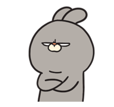 563087167