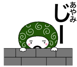 56308981