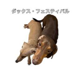563118565