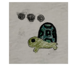 563188590