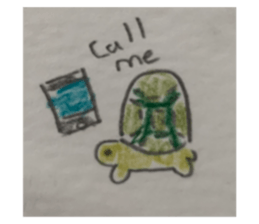 563188604