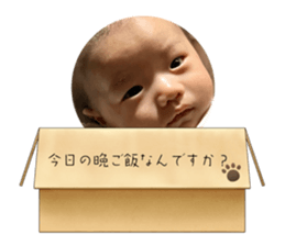 563206543