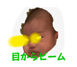 563206556