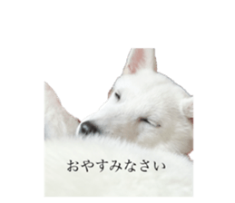 563228924