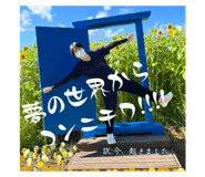563264372