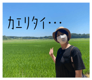 563264375