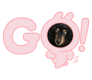 563265965